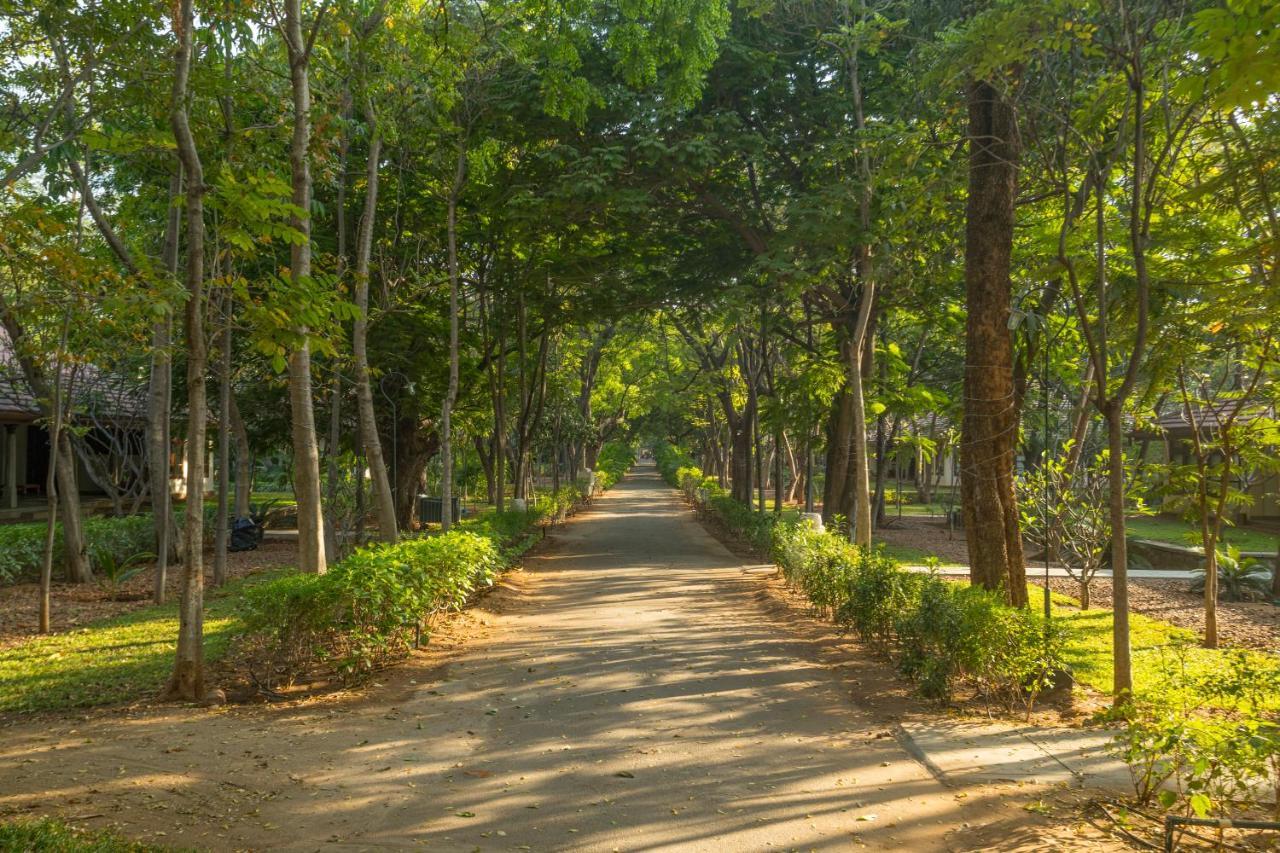 Heritage Мадурай Экстерьер фото A road in the park